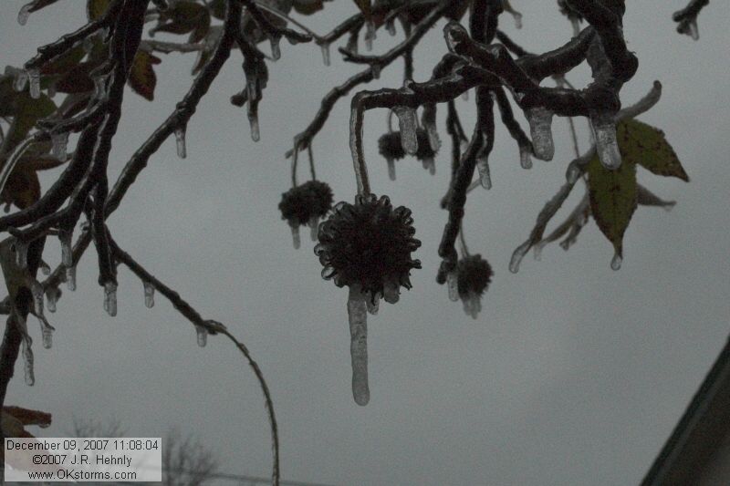December 2007 Ice Storm - Central Oklahoma