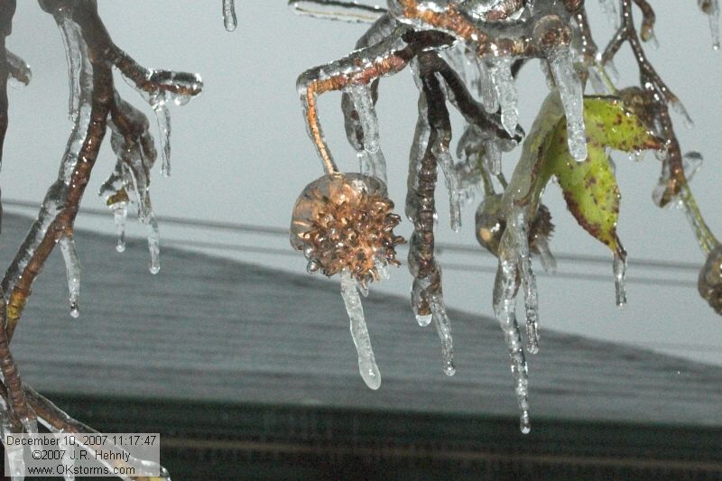 December 2007 Ice Storm - Central Oklahoma