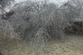 December 2007 Ice Storm - Central Oklahoma