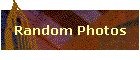 Random Photos