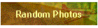 Random Photos