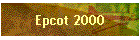 Epcot 2000