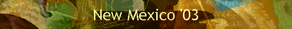 New Mexico '03