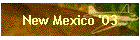 New Mexico '03